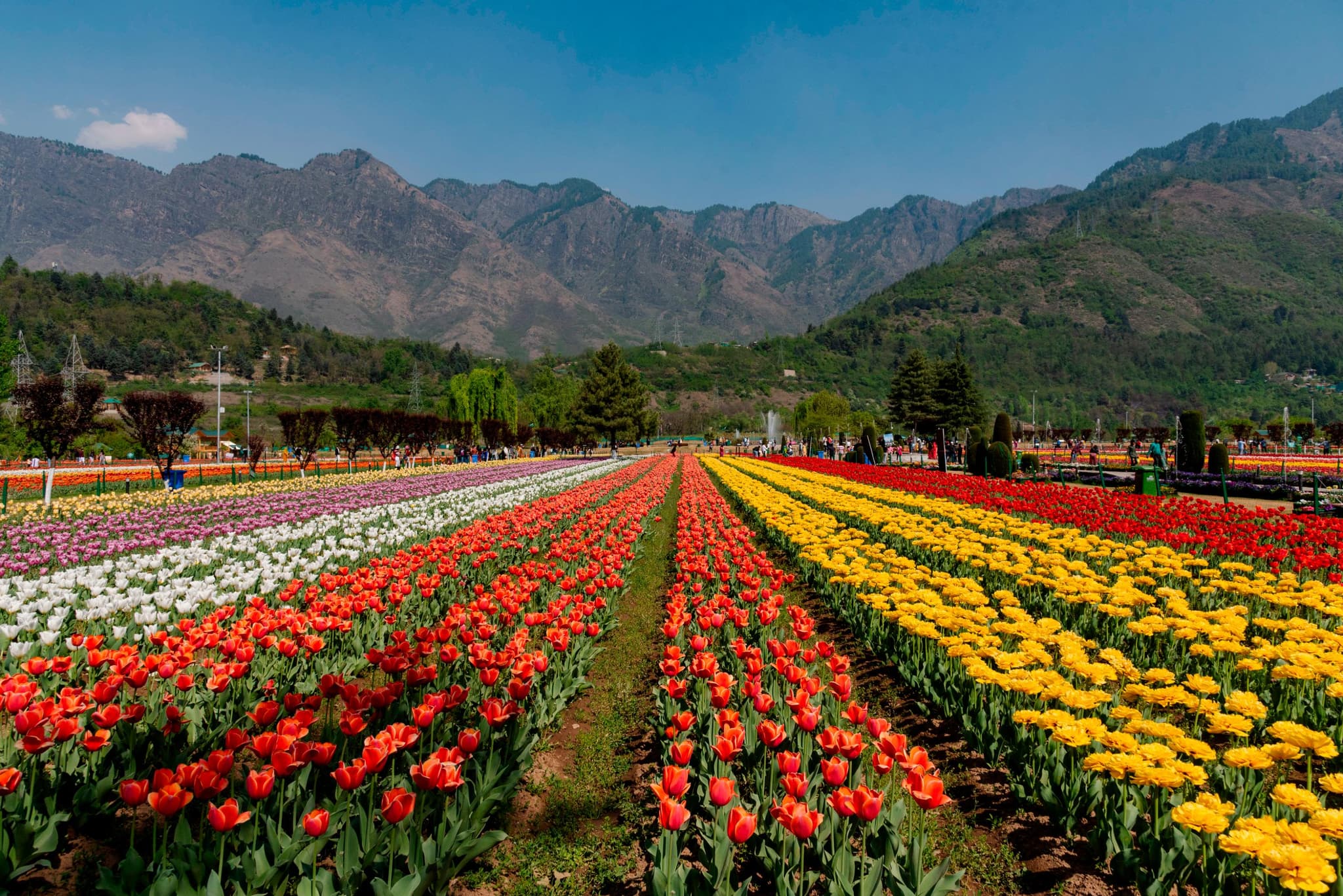 Kashmir 6 Days Winter Package