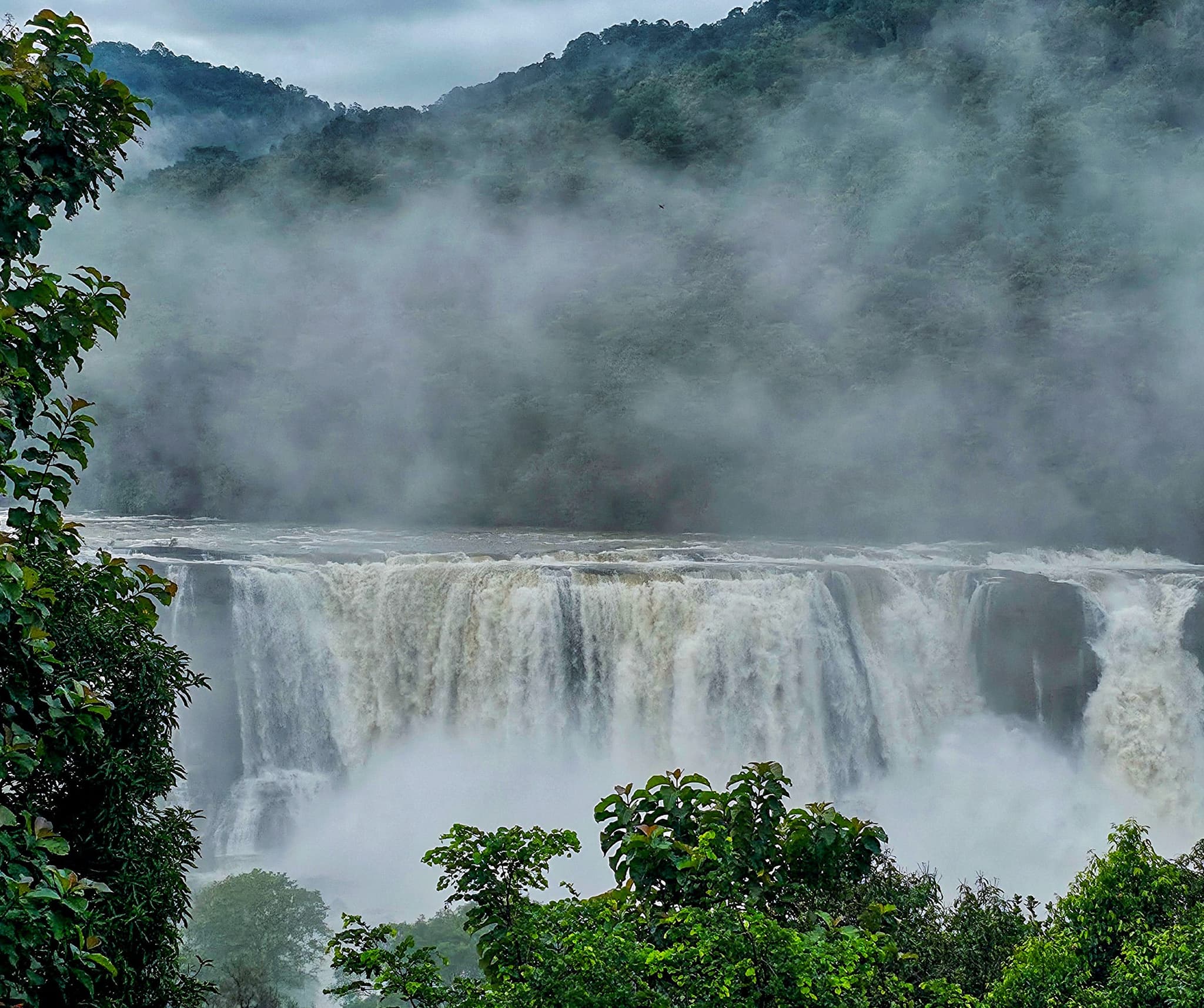 Kerala Backwaters & Hills in 6 Days