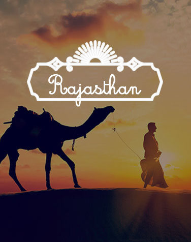 Rajasthan TRIPS