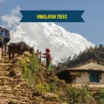 Himalayan Treks