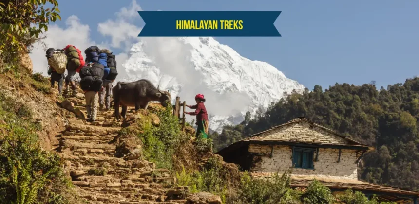 Himalayan Treks