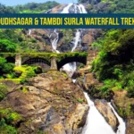 Dudhsagar & Tambdi Surla Waterfall Trek 2025