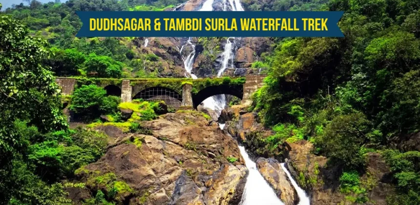 Dudhsagar & Tambdi Surla Waterfall Trek 2025