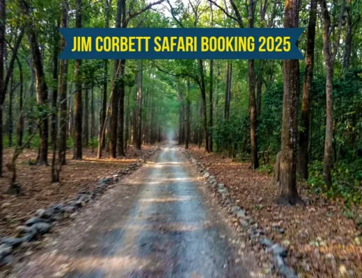 Jim Corbett Safari Booking 2025