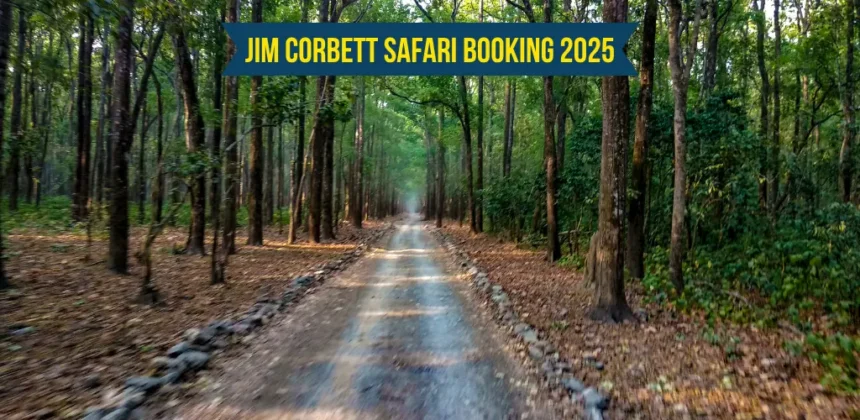 Jim Corbett Safari Booking 2025