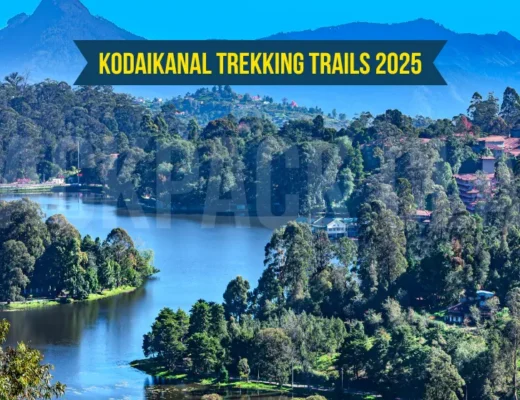Kodaikanal Trekking Trails 2025