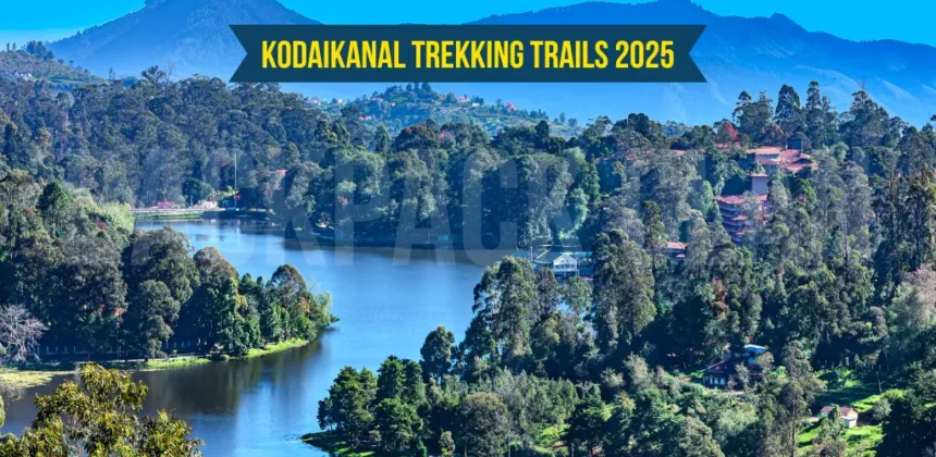 Kodaikanal Trekking Trails 2025