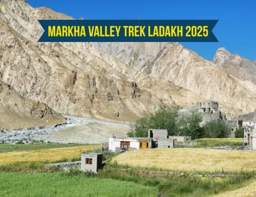 Markha Valley Trek Ladakh 2025