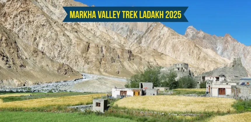 Markha Valley Trek Ladakh 2025