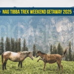 Nag Tibba Trek Weekend Getaway 2025