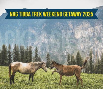 Nag Tibba Trek Weekend Getaway 2025