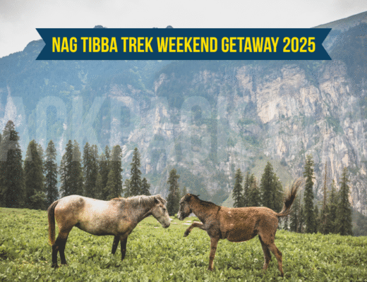 Nag Tibba Trek Weekend Getaway 2025