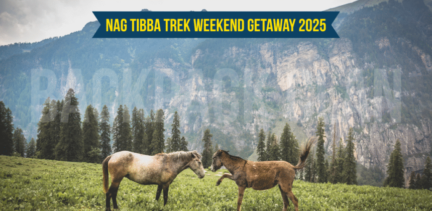Nag Tibba Trek Weekend Getaway 2025