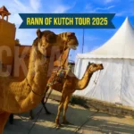 Great Rann of Kutch Tour 2025