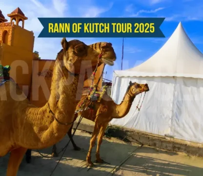 Great Rann of Kutch Tour 2025