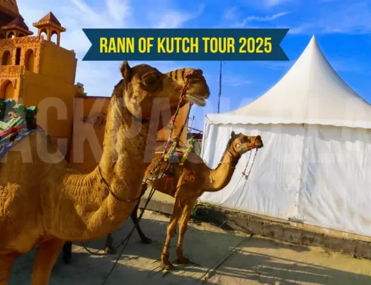 Great Rann of Kutch Tour 2025