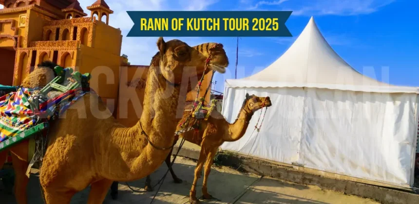 Great Rann of Kutch Tour 2025